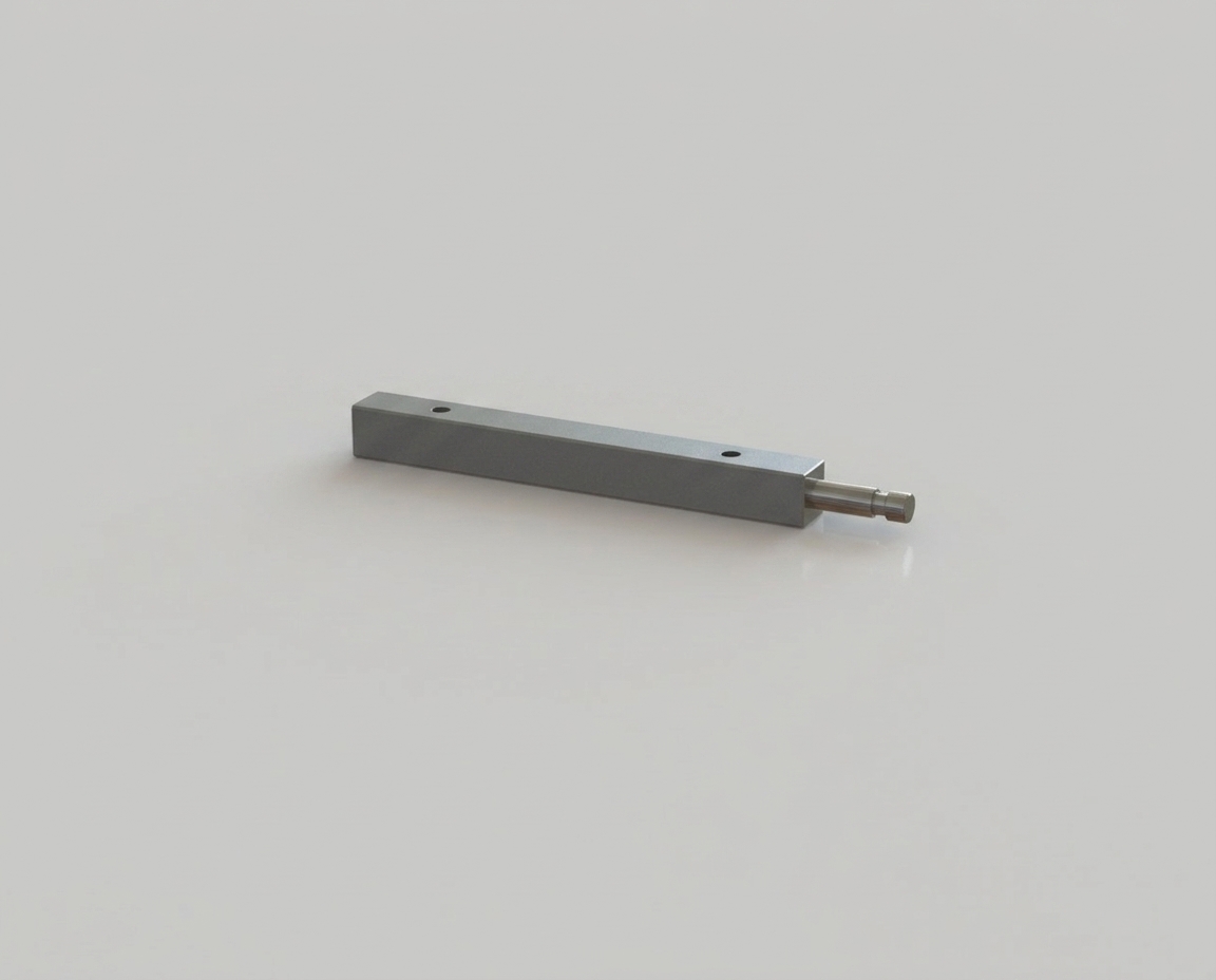 Voetsteunhouder type: 892 afneembaar (lengte: 220mm) chroom